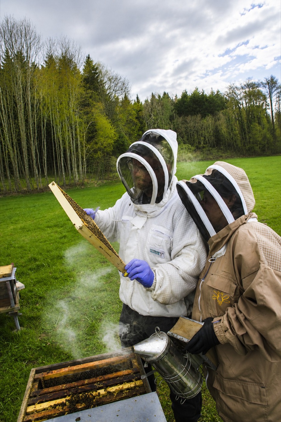 Zwei Imker:innen bei der Arbeit am Bienenstand – Bienenpatenschaft